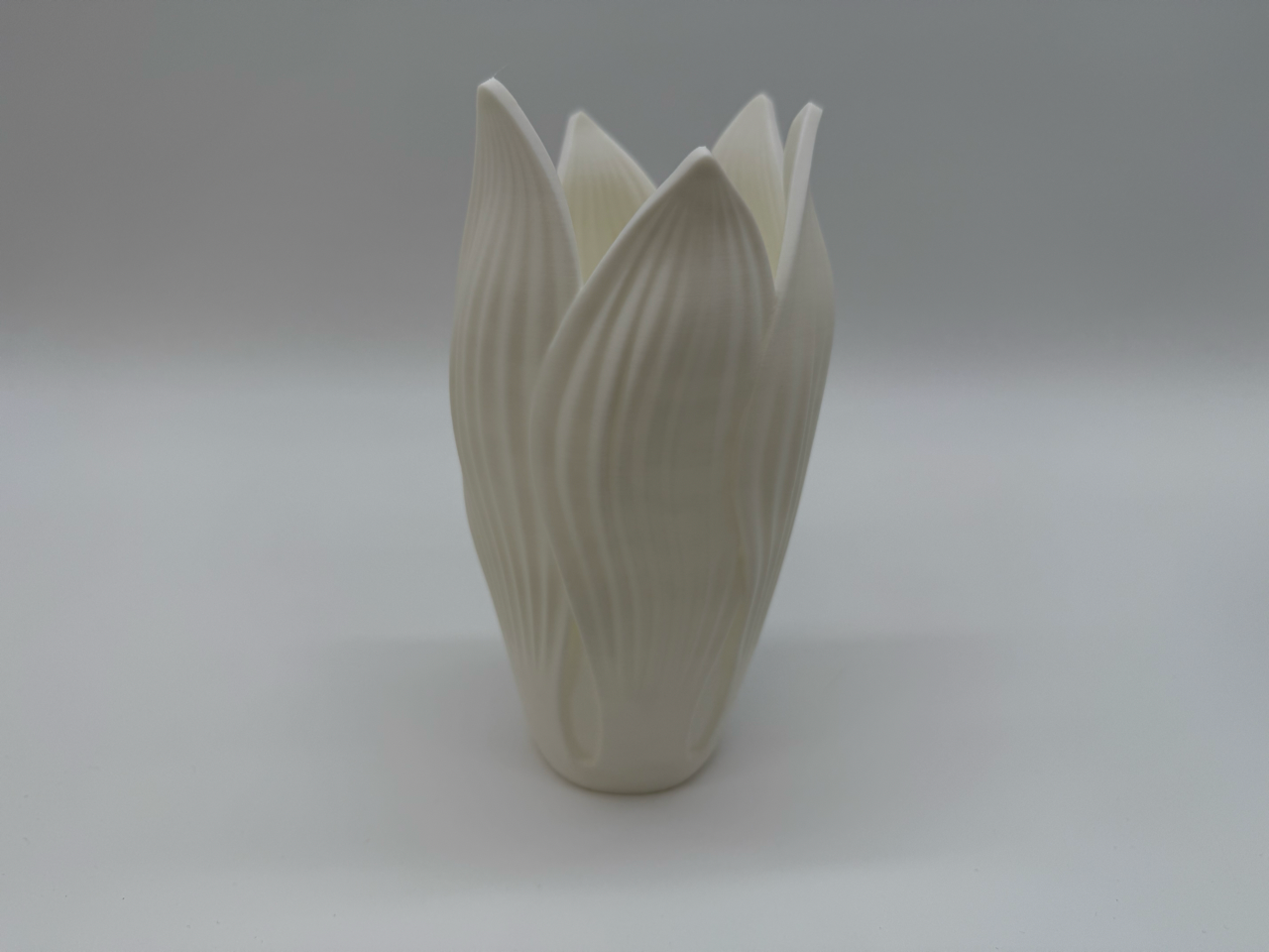 Flower-shaped vase – Organic design – Elegant tulip-style decoration